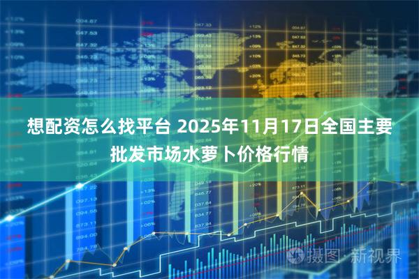 想配资怎么找平台 2025年11月17日全国主要批发市场水萝卜价格行情